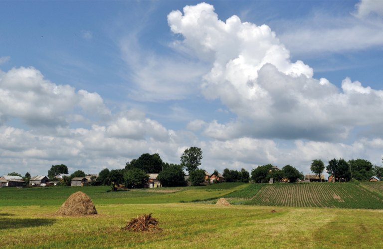 Rural countryside